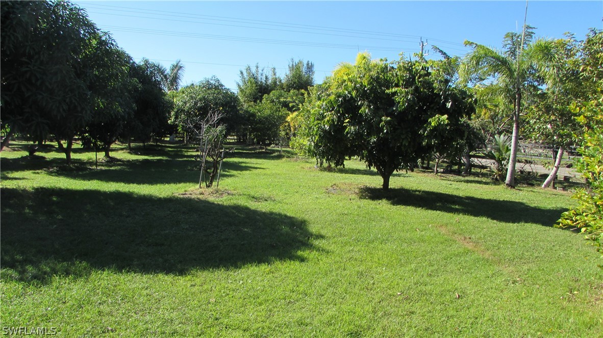 8390 Stringfellow Road St. James City, FL 33956 - Photo 4 of 35