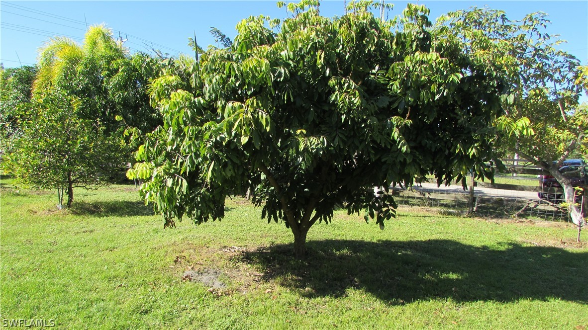 8390 Stringfellow Road St. James City, FL 33956 - Photo 6 of 35 a view of backyard with green space