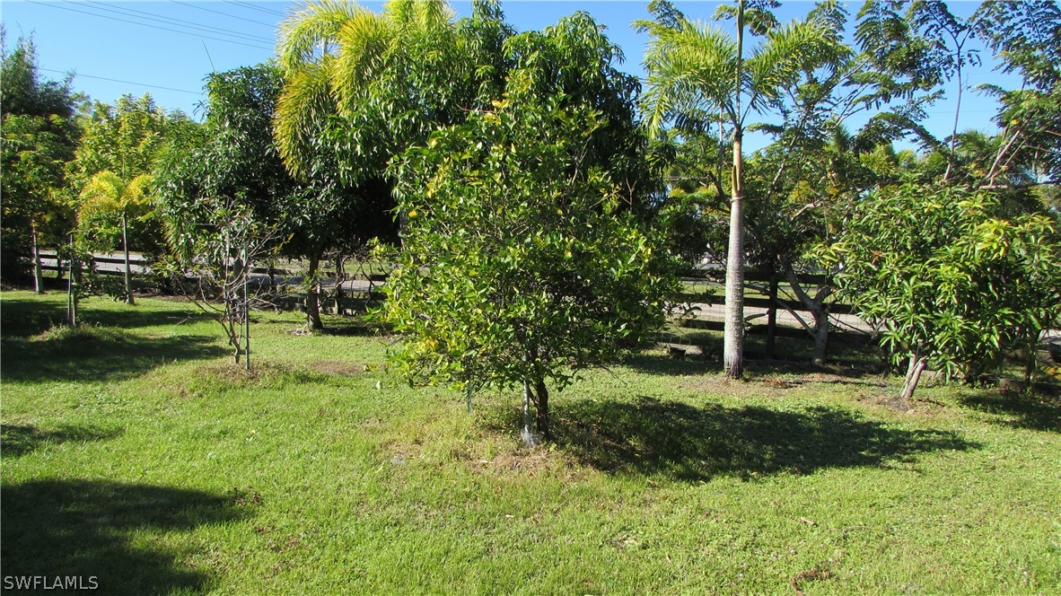 8390 Stringfellow Road St. James City, FL 33956 - Photo 7 of 35 a view of backyard with green space