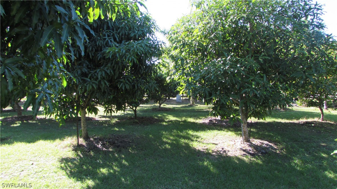 8390 Stringfellow Road St. James City, FL 33956 - Photo 9 of 35 a backyard of a house with lots of green space