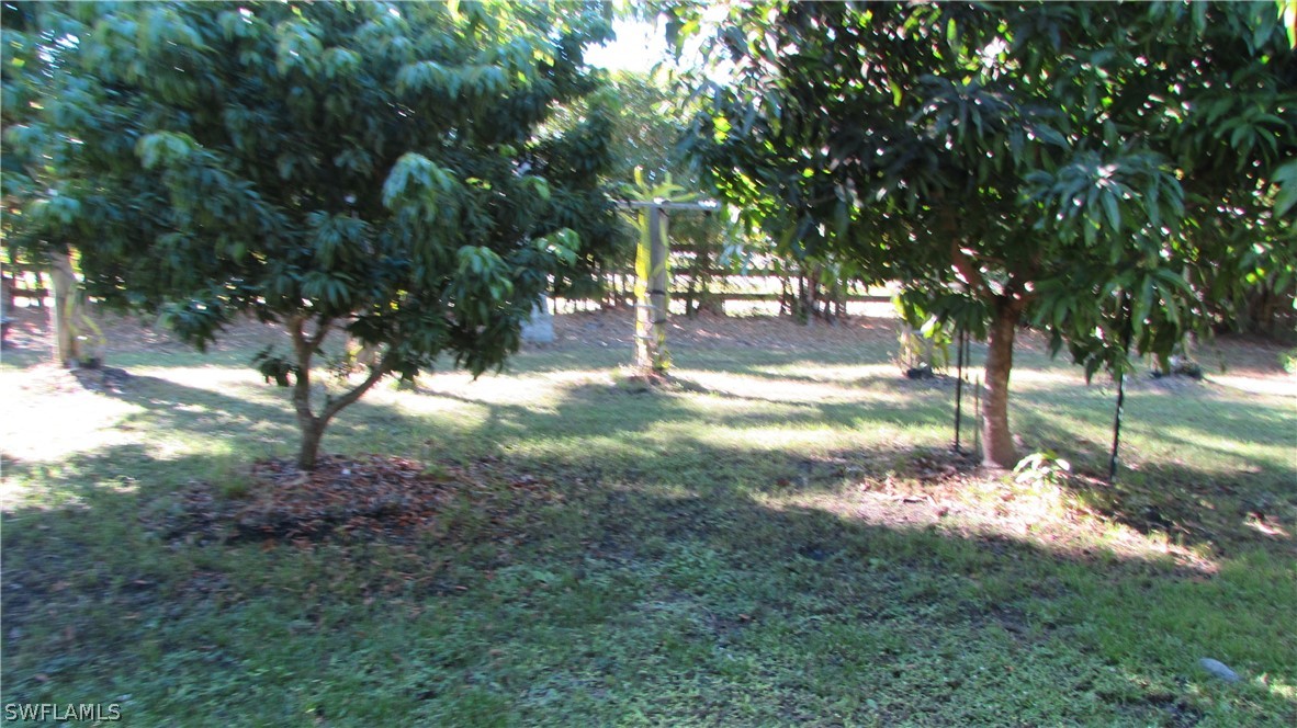 8390 Stringfellow Road St. James City, FL 33956 - Photo 10 of 35 a view of a tree in a yard