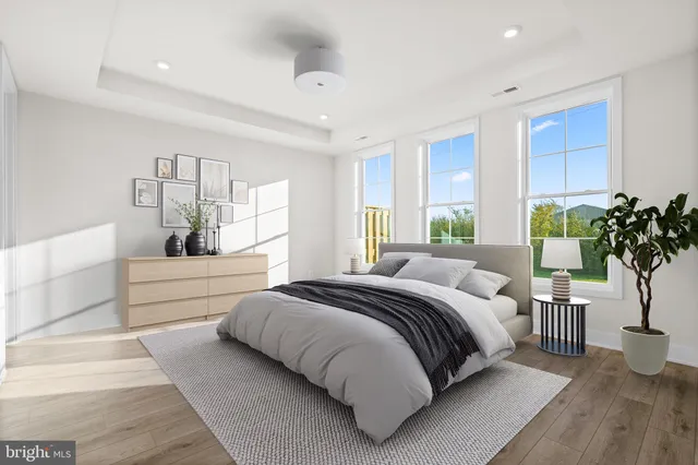 a spacious bedroom with a large bed and a potted plant