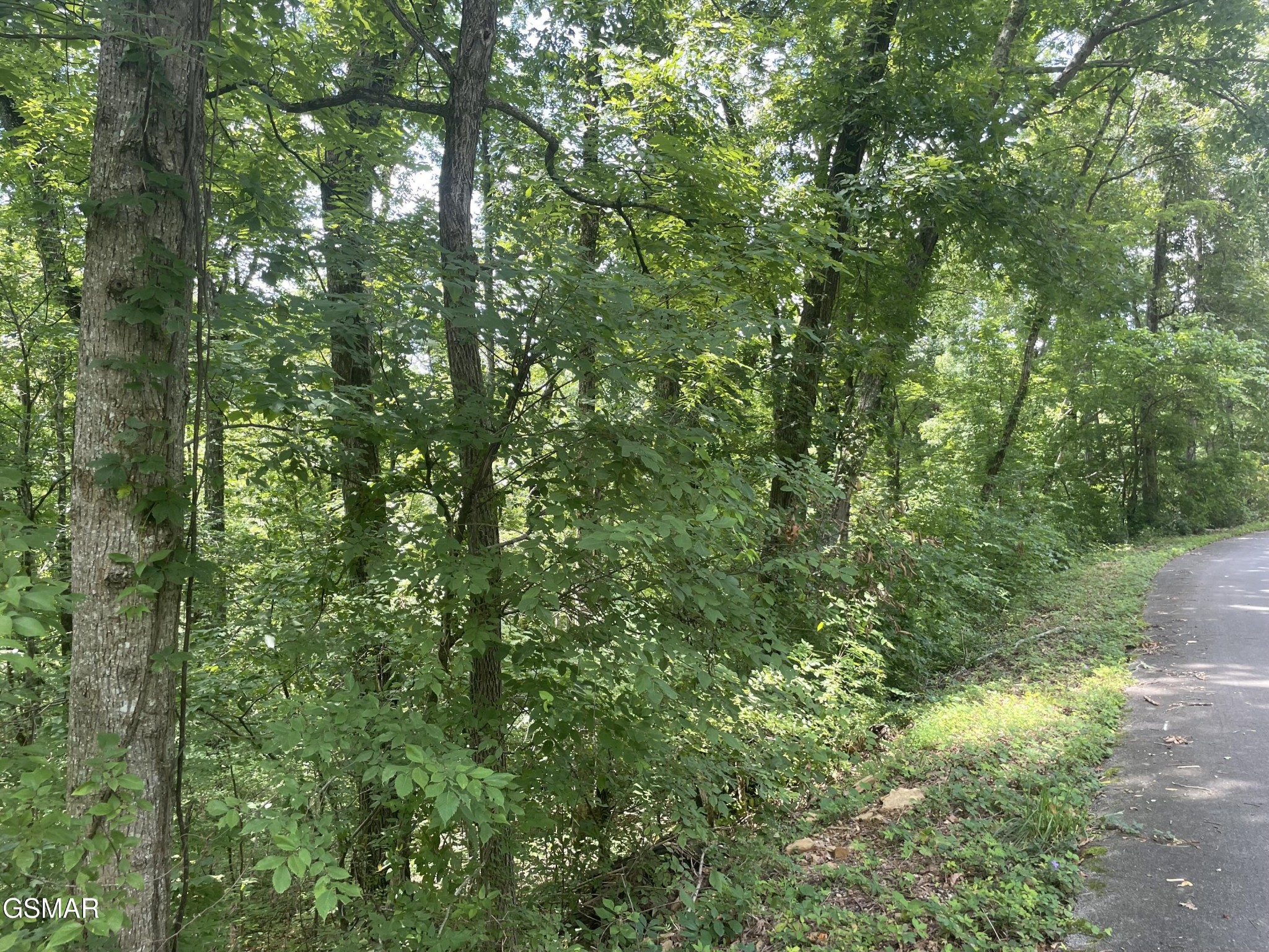 1 King Estates Road Sevierville, TN 37876 - Photo 9 of 9