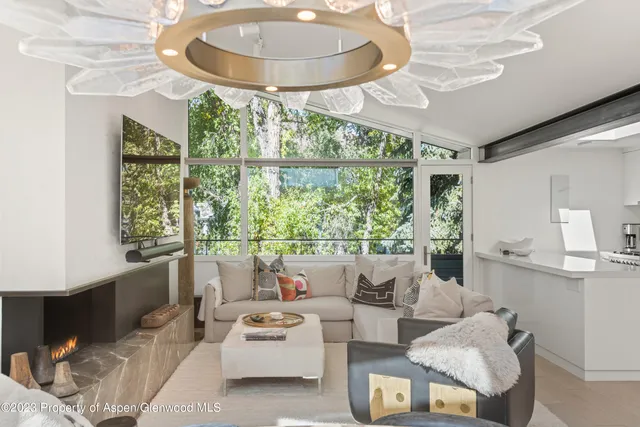 $35,000 | 1001 East Cooper Avenue, Unit 1, Aspen, CO 81611