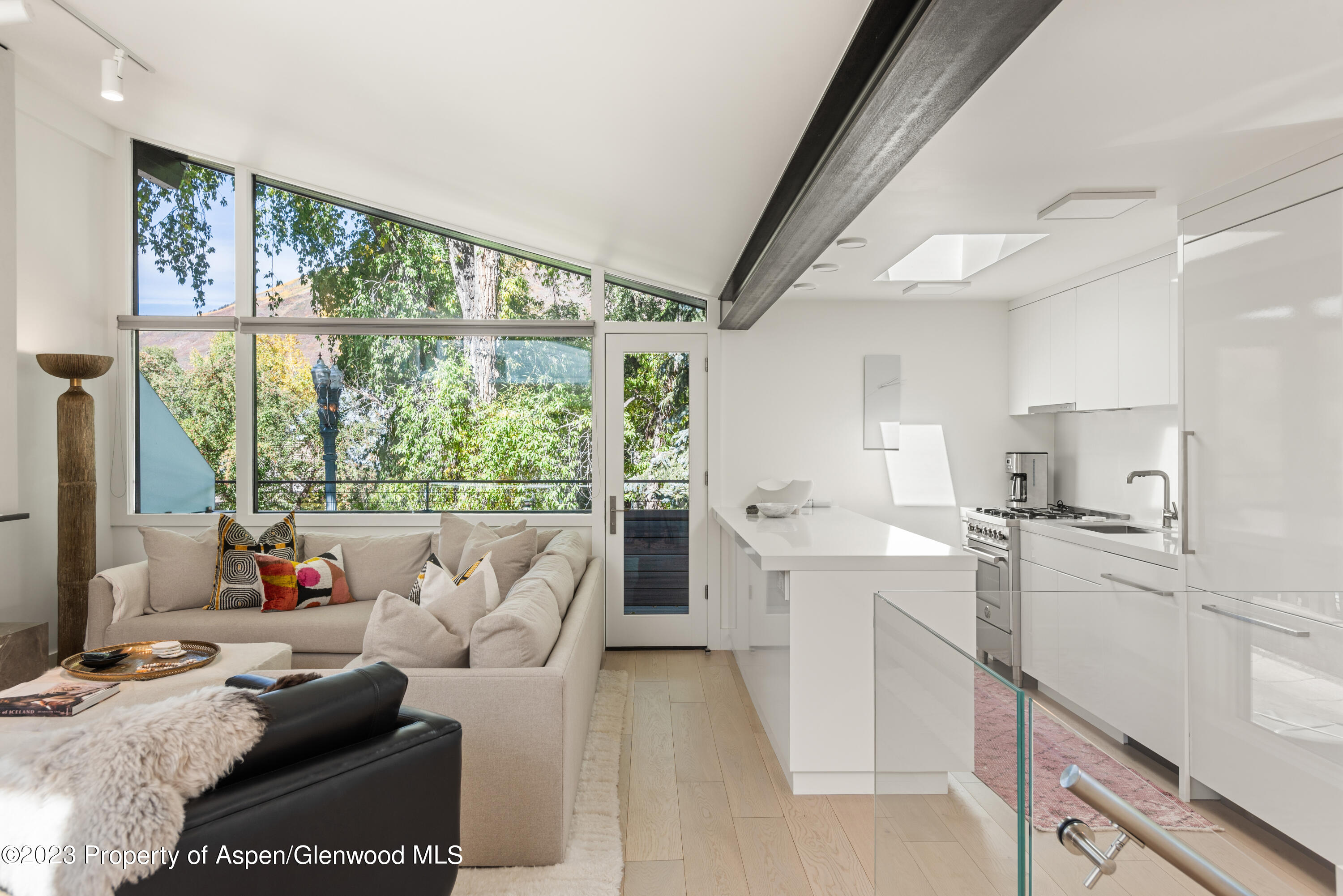 1001 East Cooper Avenue, Unit 1 Aspen, CO 81611 - Photo 4 of 23 Villager1_HiRes23092905