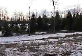 0 Colling Road Caro, MI 48723 - Photo 1 of 1 Property Photo