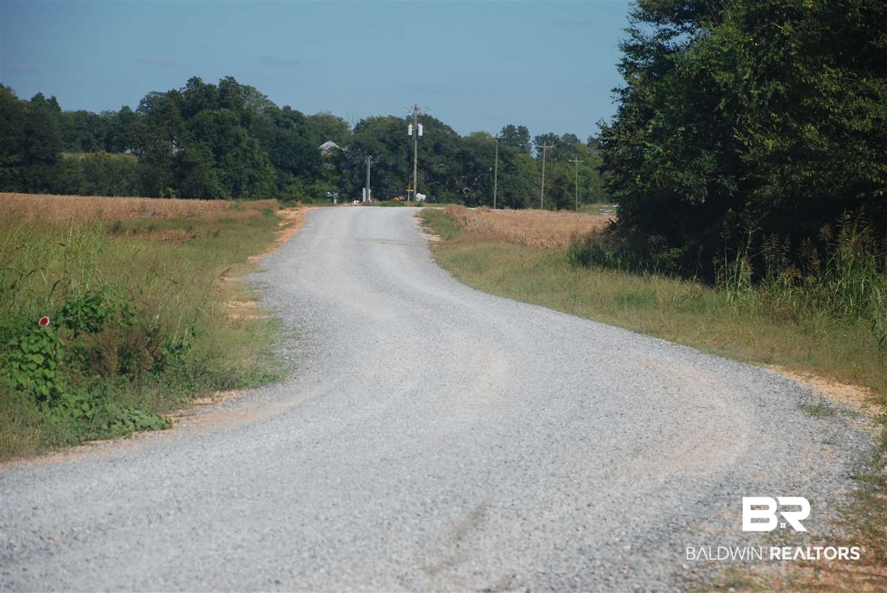 0 Jimmy Phillips Road Greensboro, AL 36744 - Photo 6 of 16