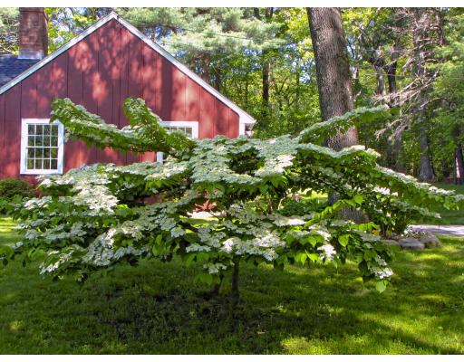 105 Commerford Road Concord, MA 01742 - Photo 17 of 18 Gallery Image 17