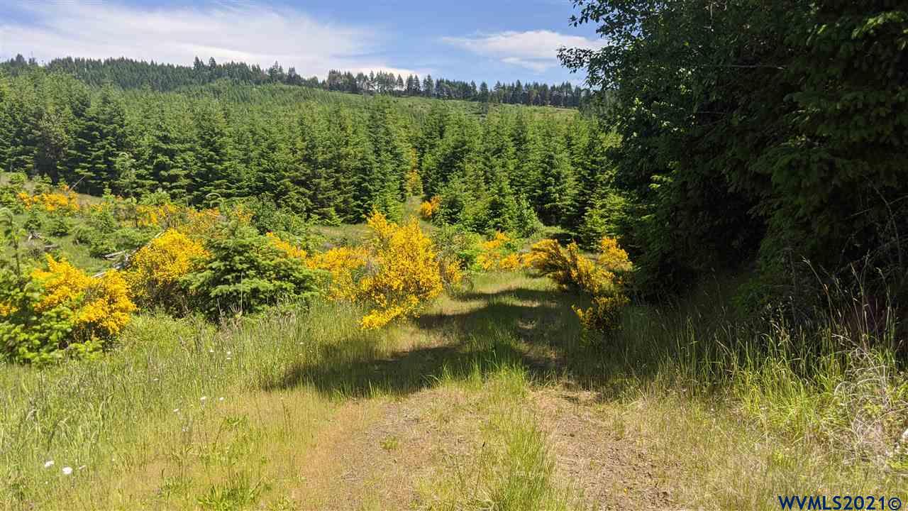 Northwest Timmerman Road Forest Grove, OR 97116 - Photo 11 of 17 Gallery Image 11