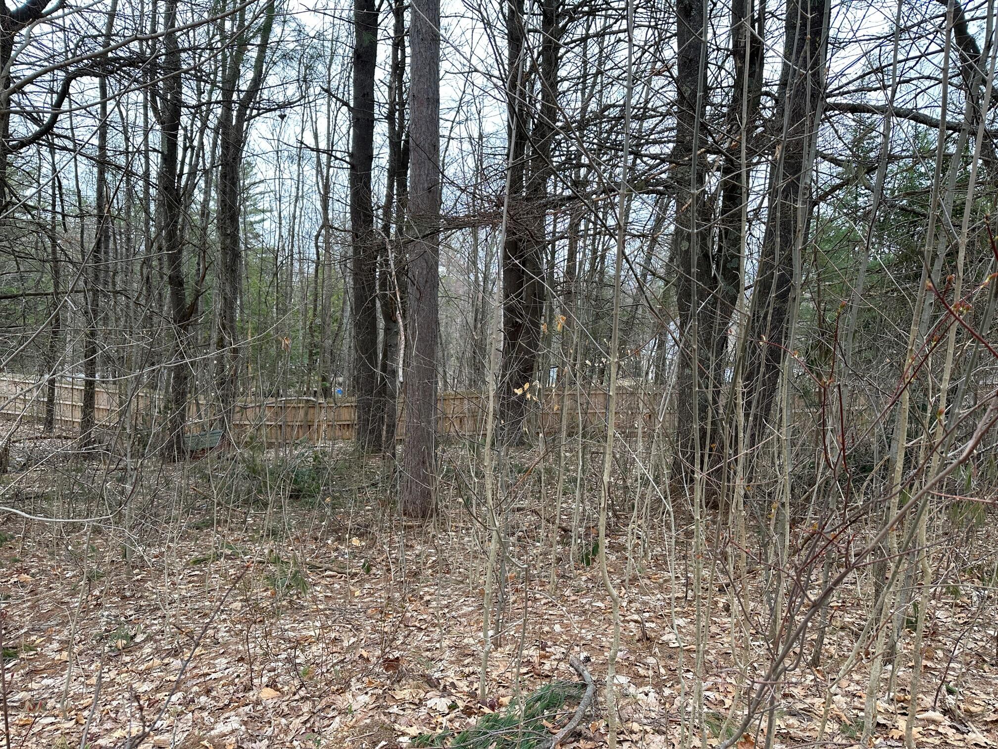 637 Ross Corner Road Shapleigh, ME 04076 - Photo 11 of 11 11