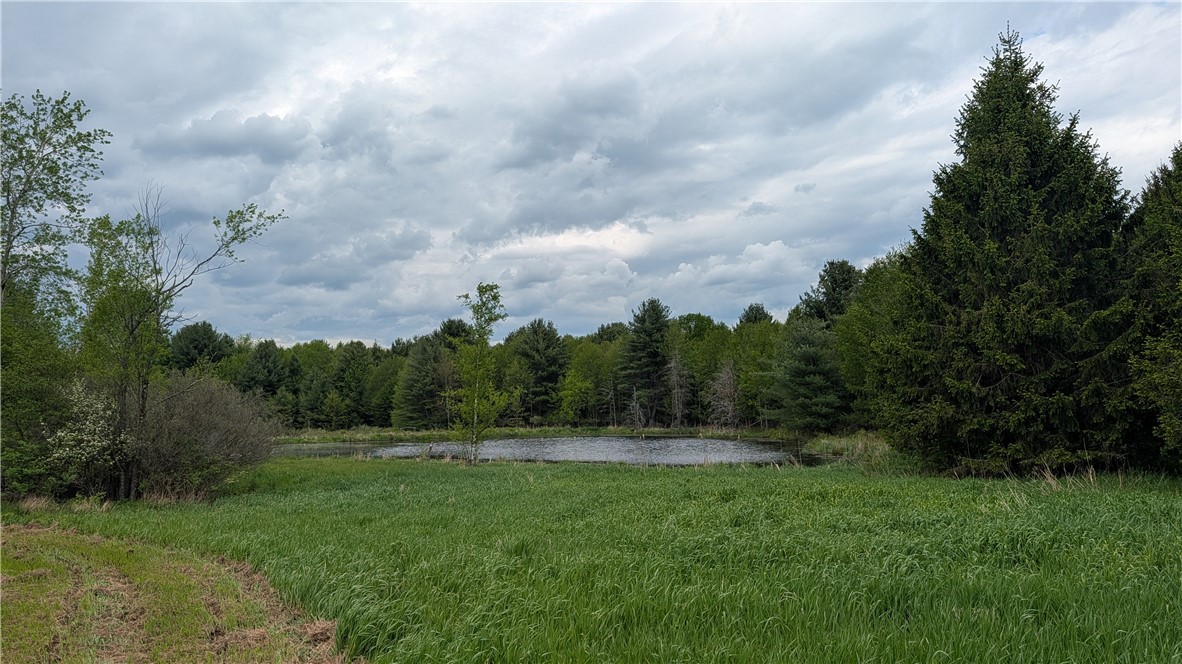 5820 Steam Mill Road Masonville, NY 13849 - Photo 46 of 47