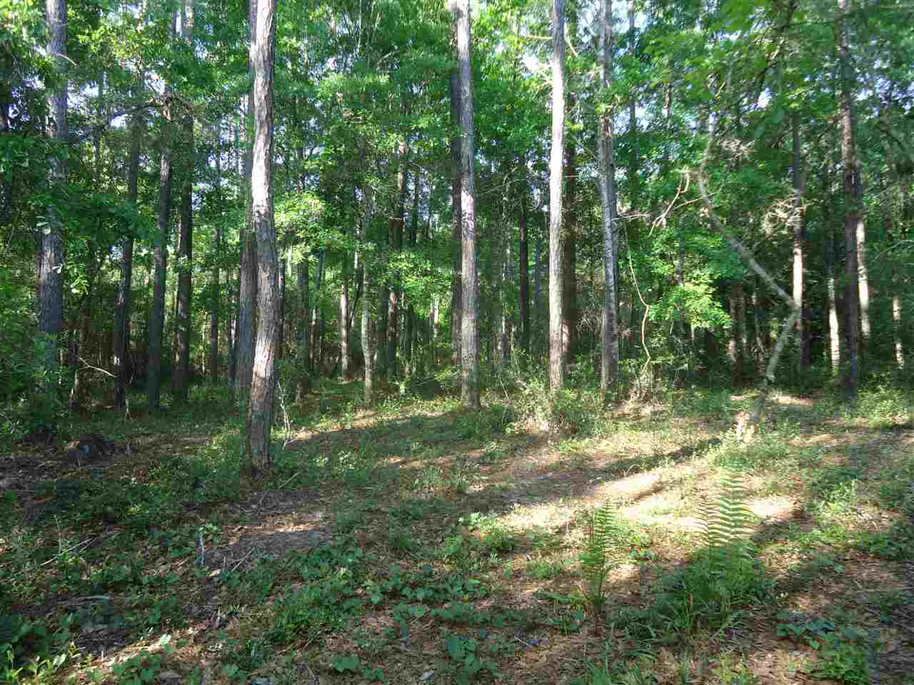 0 Hammock Road Elberta, AL 36530 - Photo 2 of 15