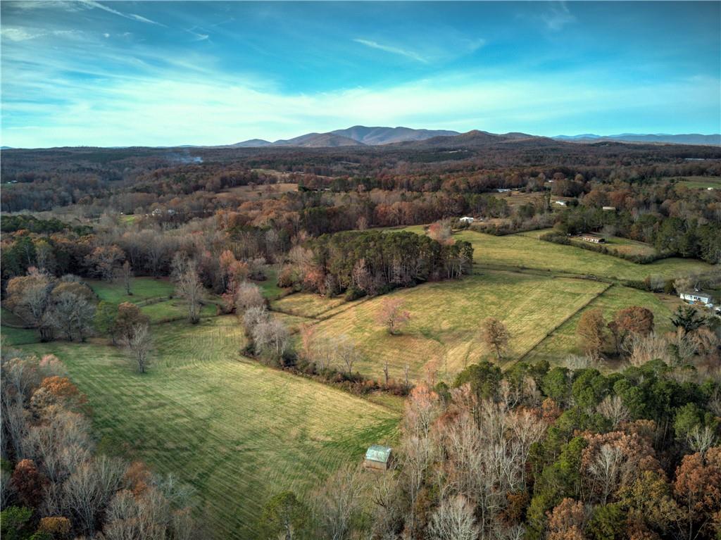 0 Kelly Bridge Road Dawsonville, GA 30534 - Photo 11 of 13