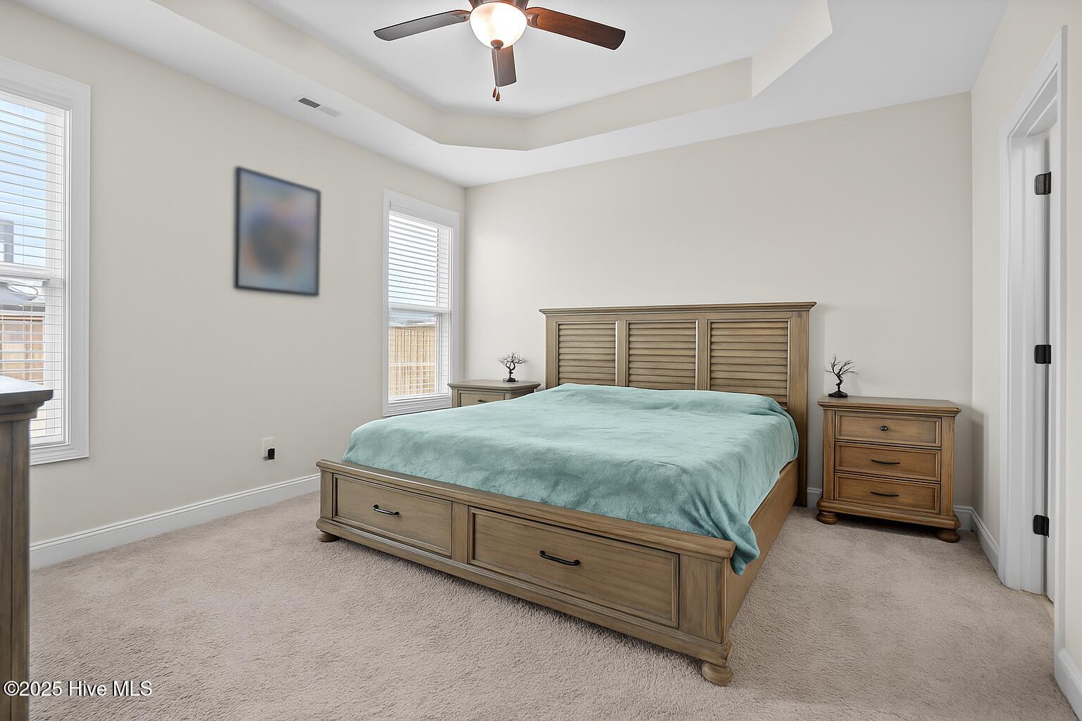 3990 Eclipse Avenue Leland, NC 28451 - Photo 14 of 34 11-primary_bed_windows