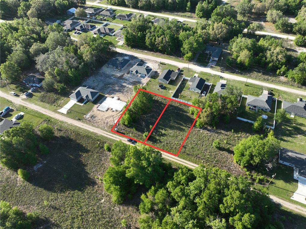 Southwest 112th Street Dunnellon, FL 34432 - Photo 3 of 6 a view of a yard with plants