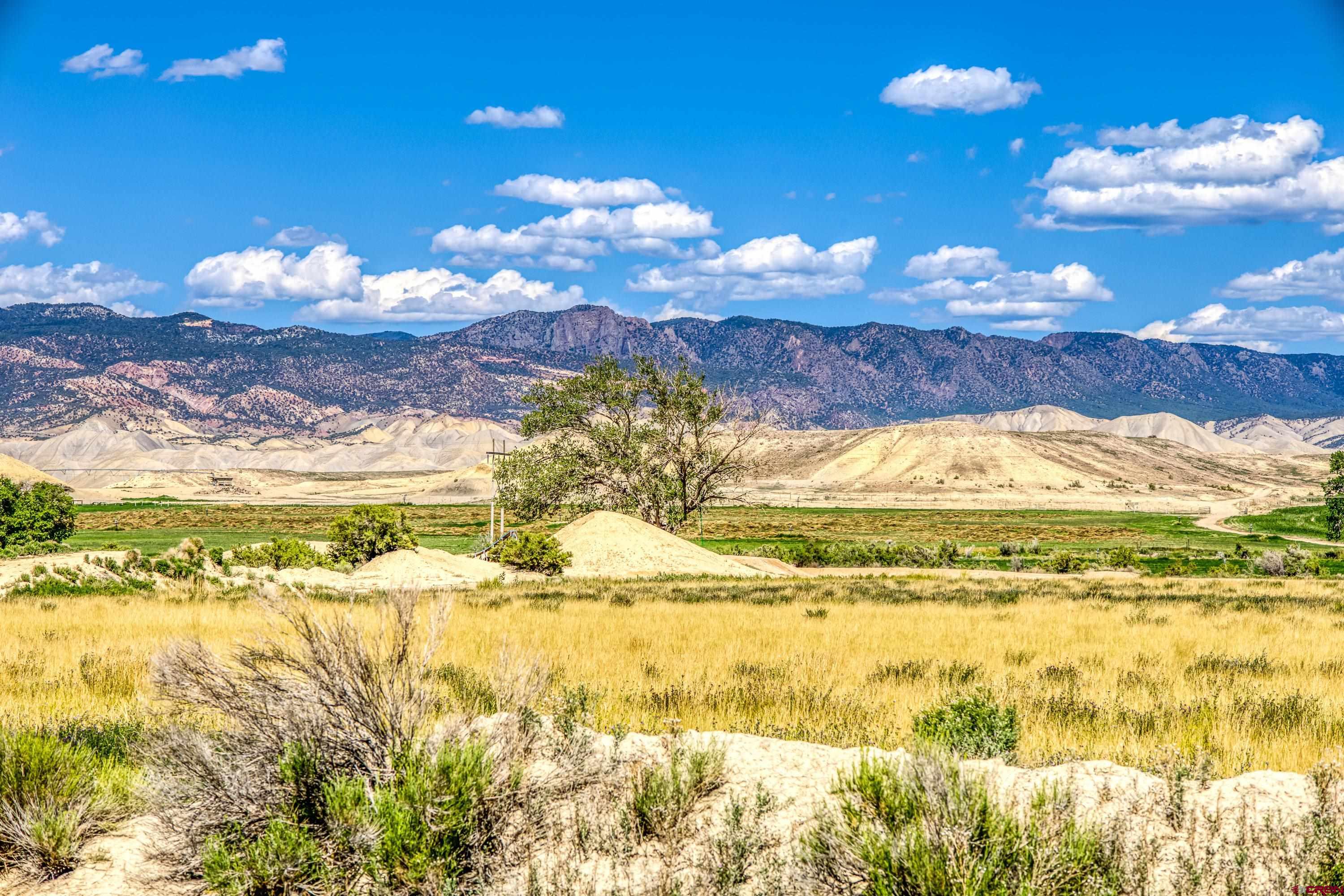 62297 Ida Road Montrose, CO 81401 - Photo 13 of 21 Gallery Image 13