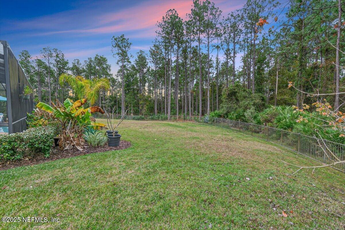 178 Antolin Way St. Augustine, FL 32095 - Photo 74 of 107 a view of a field with a tree