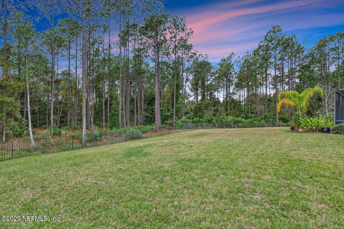 178 Antolin Way St. Augustine, FL 32095 - Photo 75 of 107 a view of a park with large trees