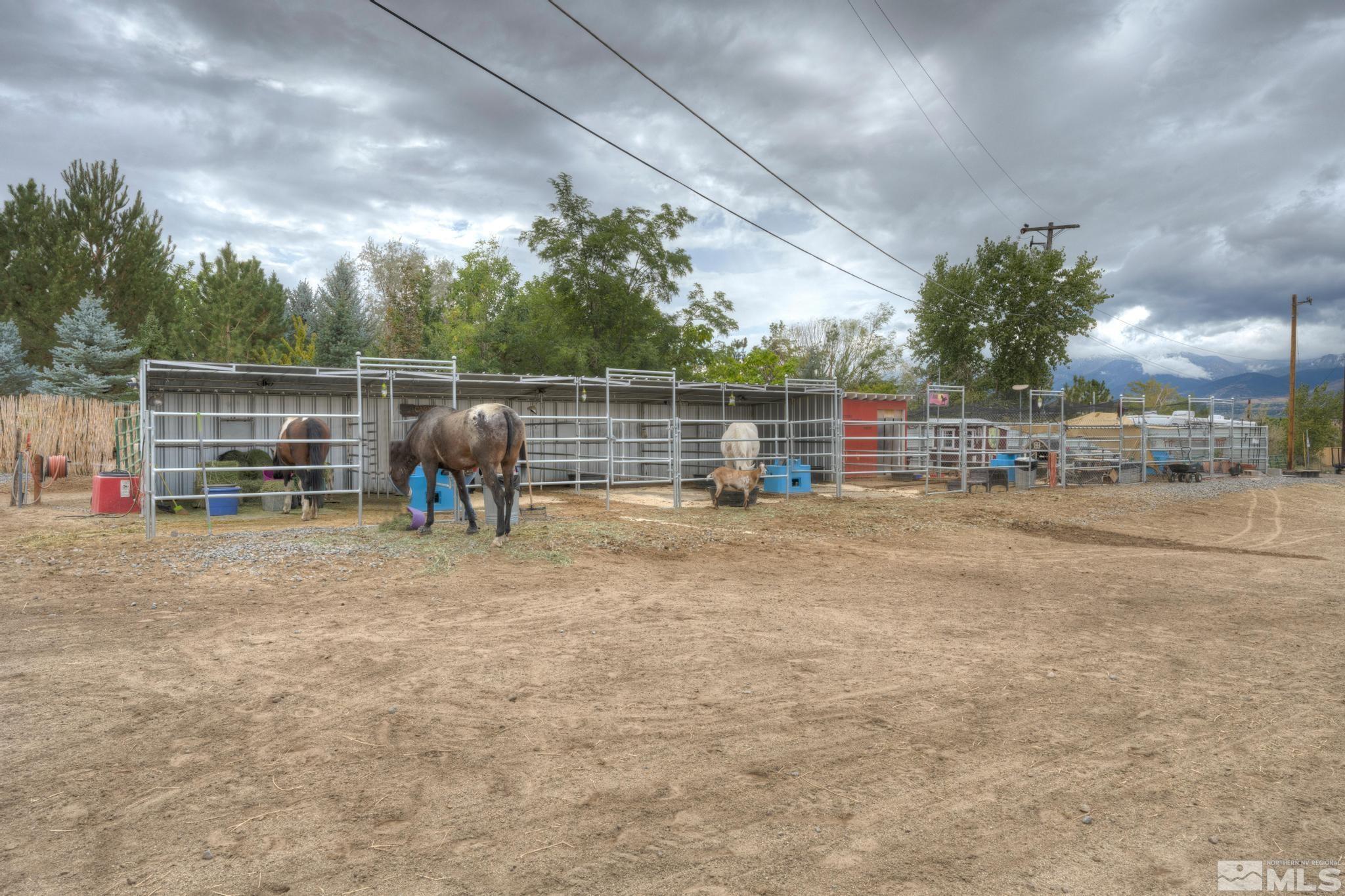 8250 Desert Way Reno, NV 89521 - Photo 12 of 32 a view of outdoor space with trampoline