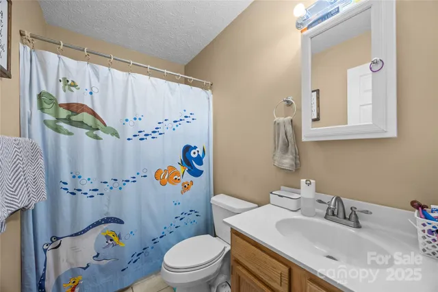 a bathroom with a sink mirror vanity and toilet