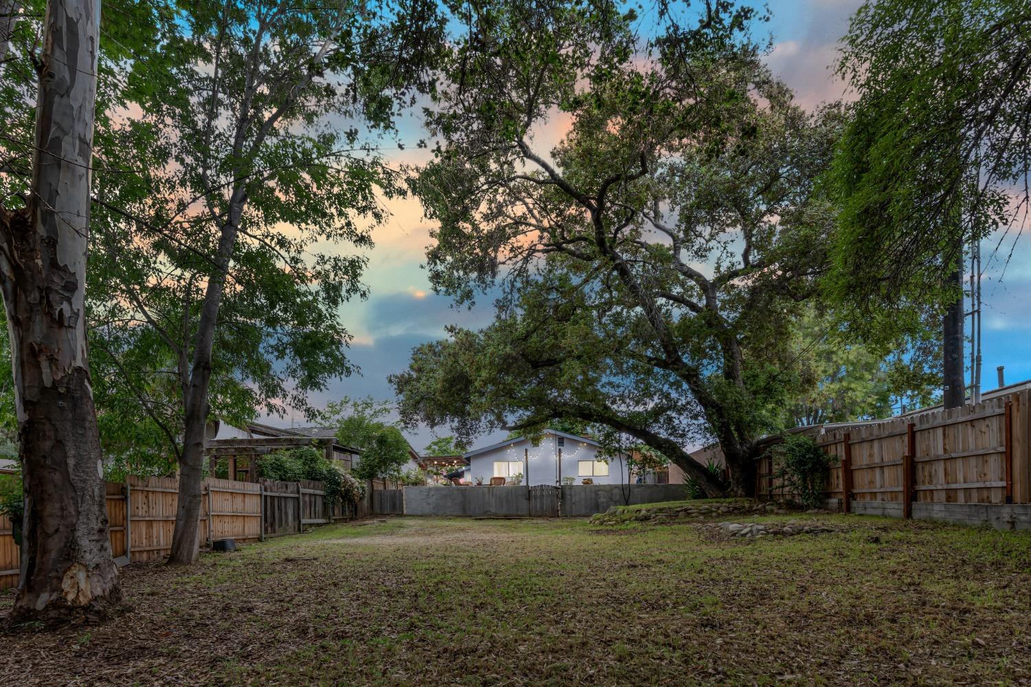 232 Prospect Street Oak View, CA 93022 - Photo 28 of 33 a big yard with large trees