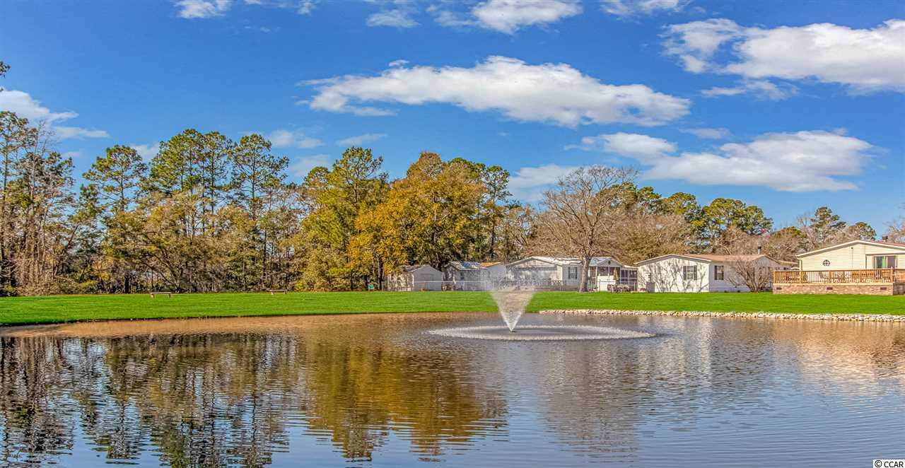 815 Yellowfin Court Murrells Inlet, SC 29576 - Photo 15 of 15