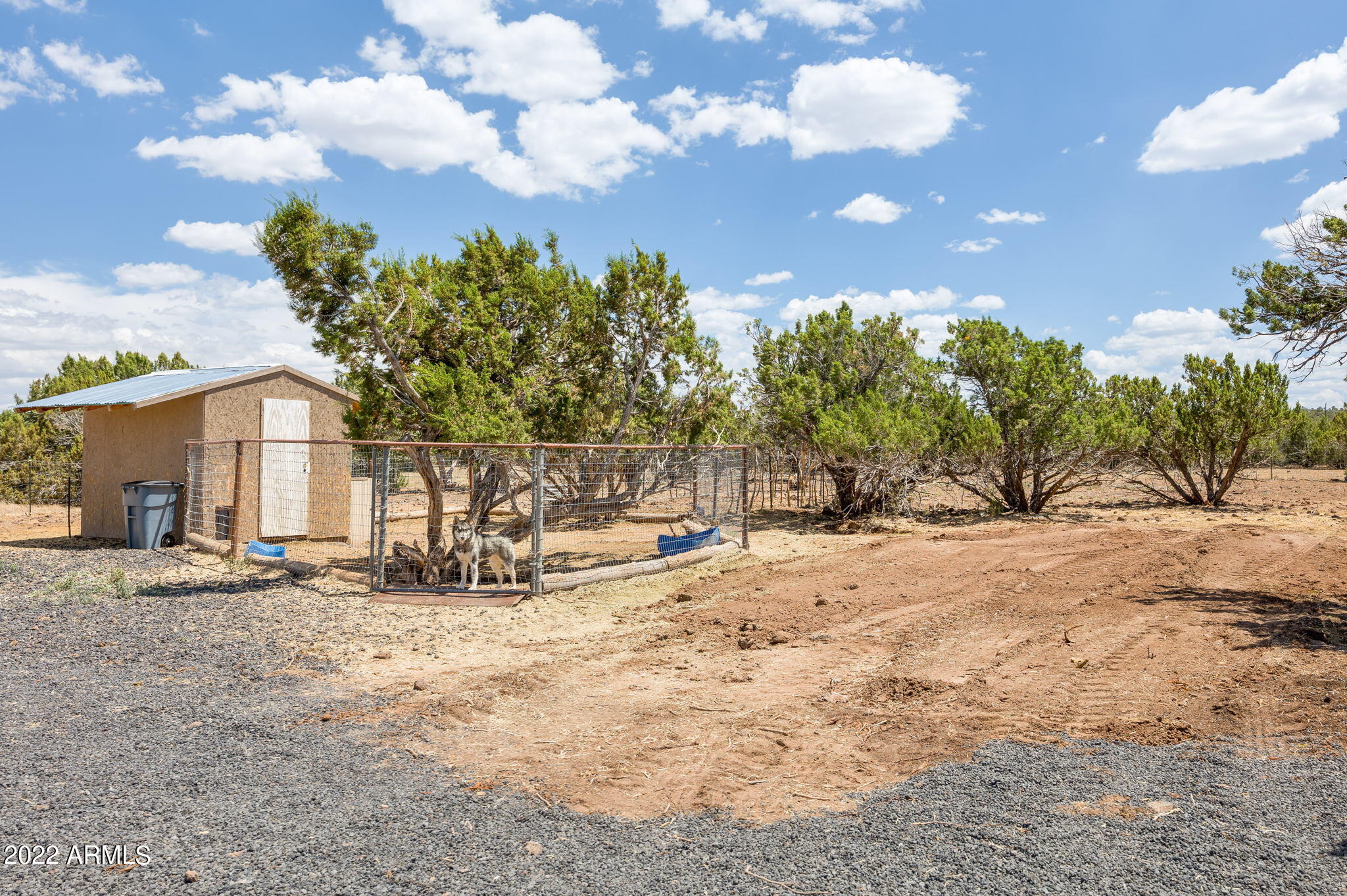 68 County Road, Unit 8112 Concho, AZ 85924 - Photo 7 of 29 7