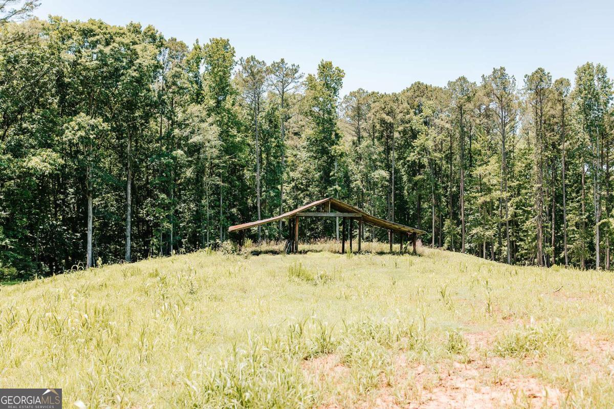 0 Mitchell Farm Road Colbert, GA 30628 - Photo 10 of 45