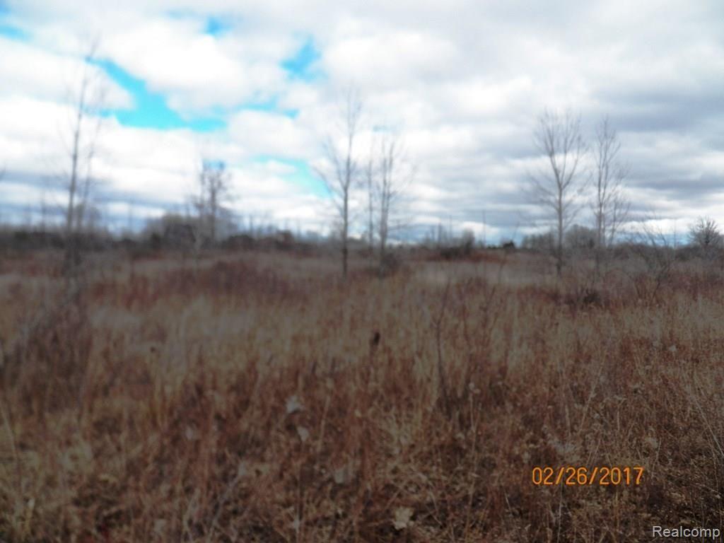 5967 Welch Road Emmett, MI 48022 - Photo 4 of 6