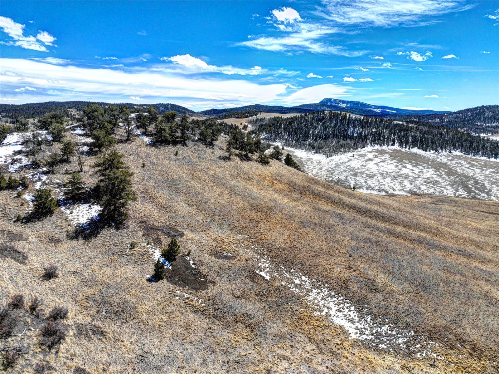 250 Bakabi Road Hartsel, CO 80449 - Photo 6 of 14 a view of a yard with wooden fence
