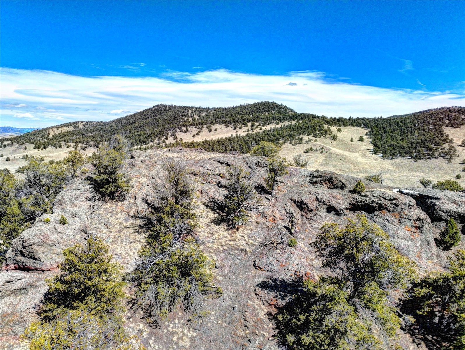 250 Bakabi Road Hartsel, CO 80449 - Photo 9 of 14 a view of an ocean