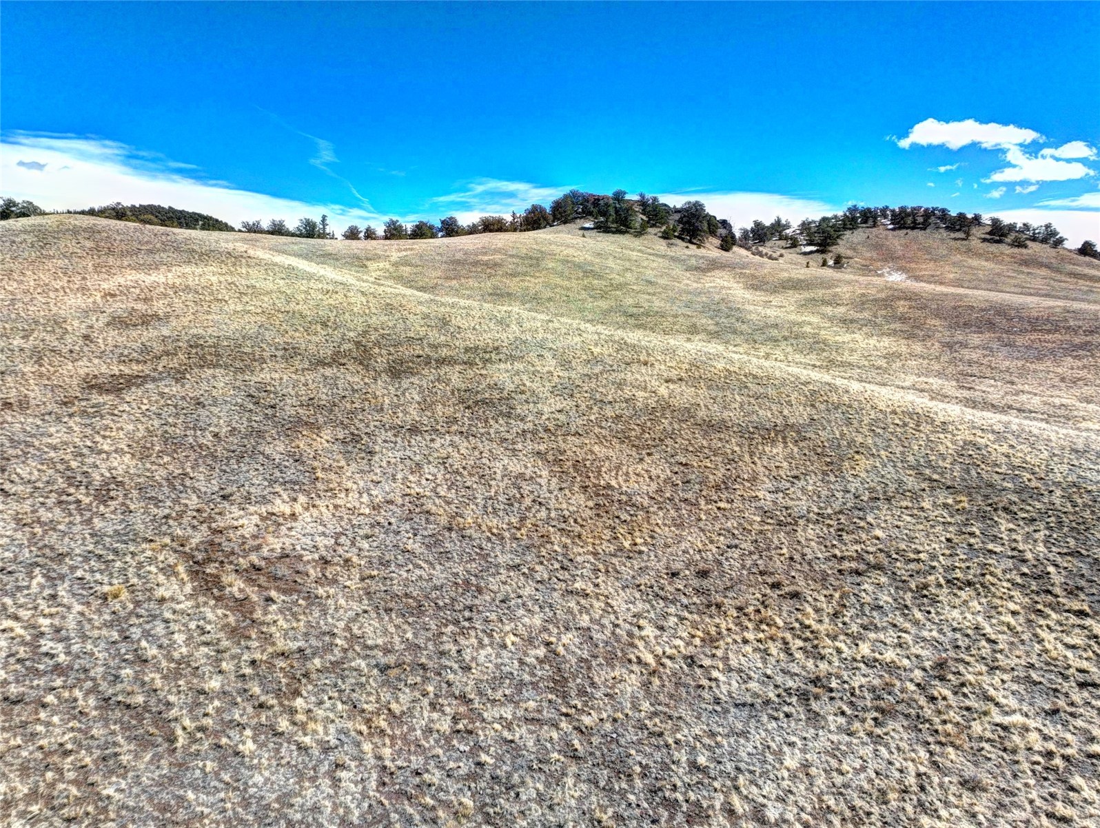 250 Bakabi Road Hartsel, CO 80449 - Photo 10 of 14