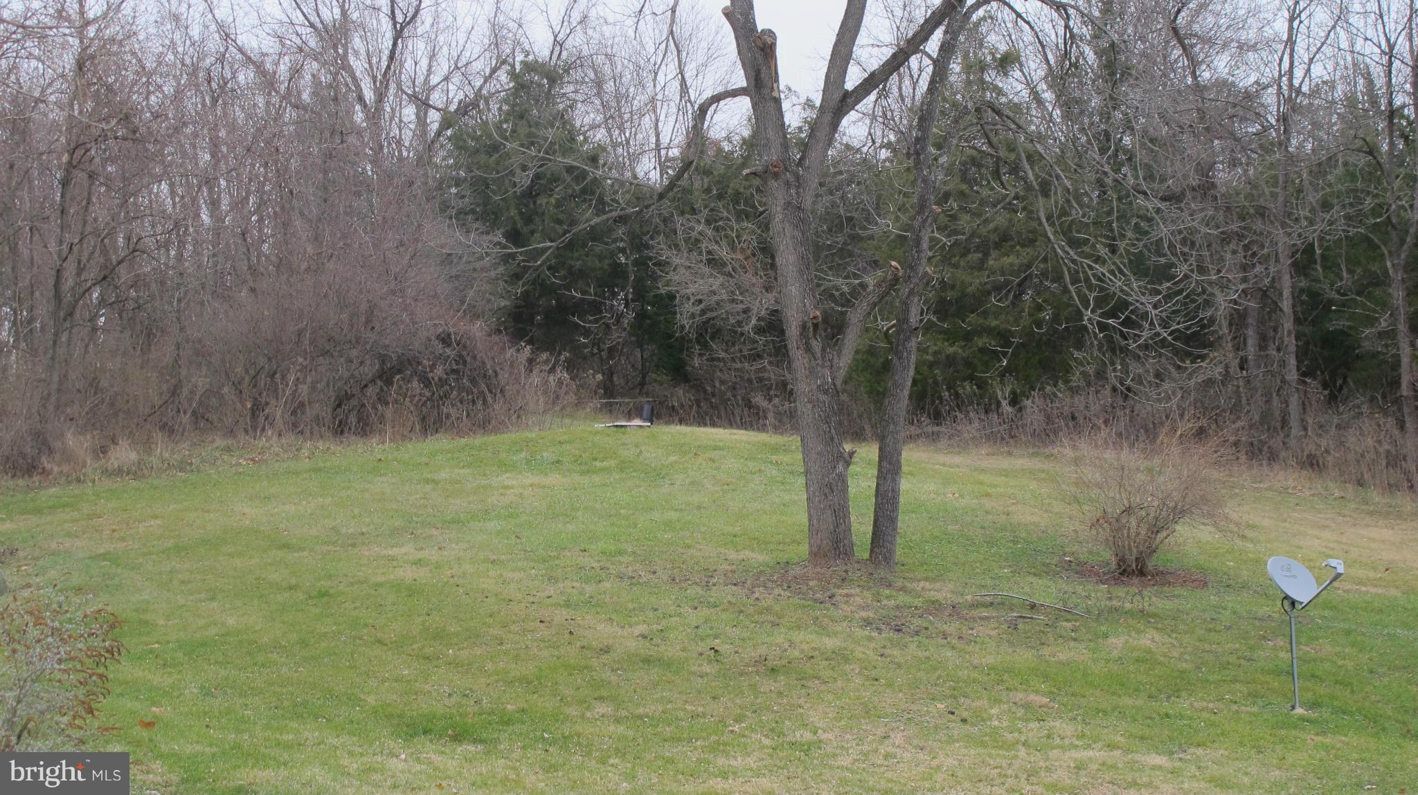 887 Locke's Mill Road Berryville, VA 22611 - Photo 7 of 27 View