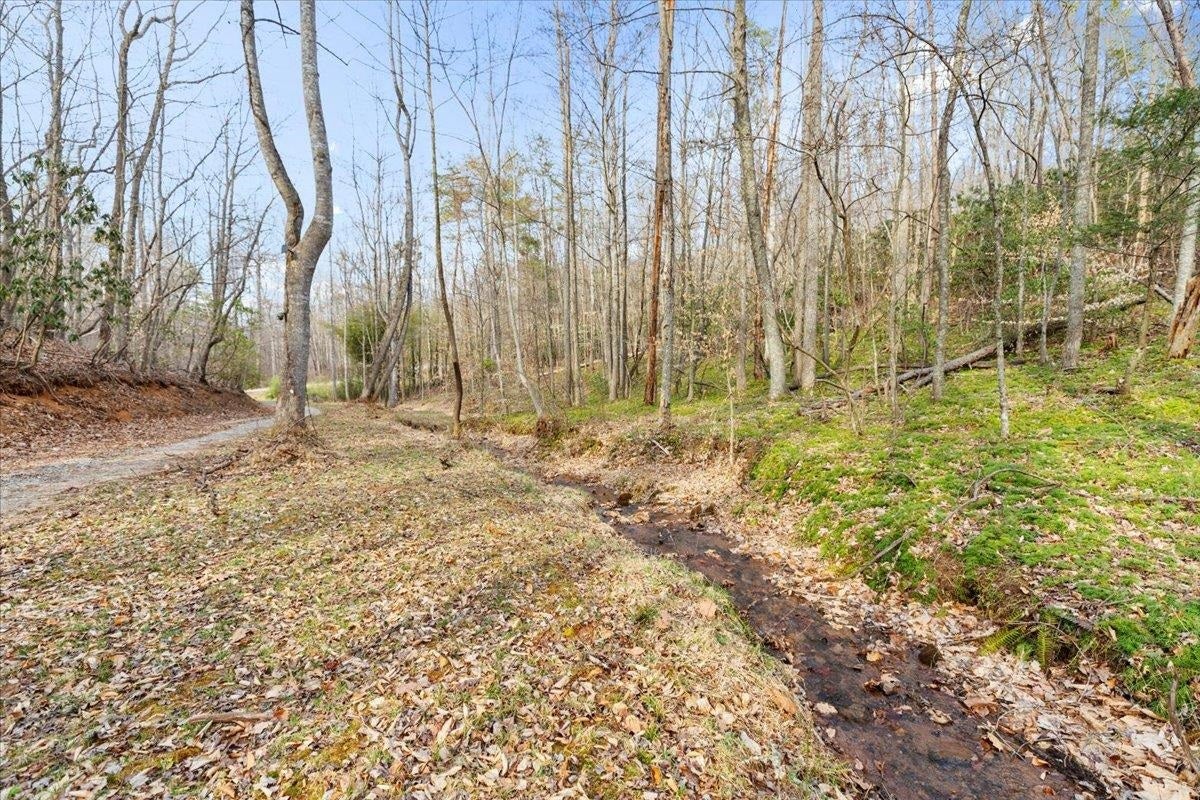 193 Timber Creek Road Stuart, VA 24171 - Photo 4 of 87 Gallery Image 4