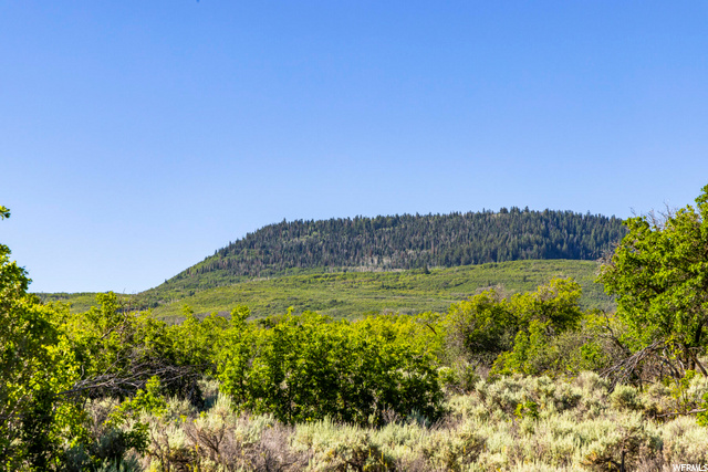 2120 Little Valley Road Wallsburg, UT 84082 - Photo 4 of 50