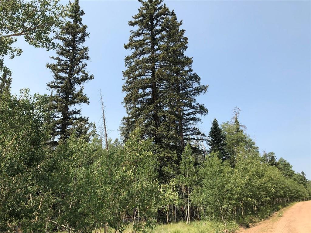 6661 Remington Road Como, CO 80432 - Photo 14 of 15 a view of a tree in a forest