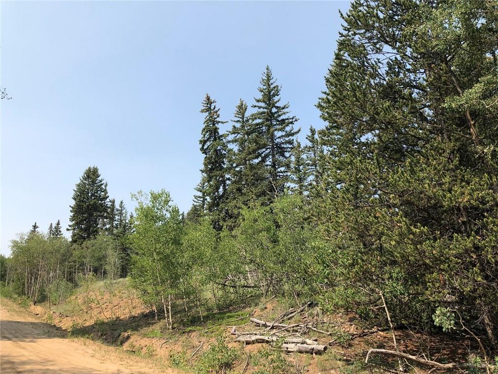 6661 Remington Road Como, CO 80432 - Photo 3 of 15 a view of a covered with large trees