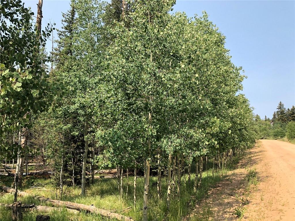 6661 Remington Road Como, CO 80432 - Photo 4 of 15