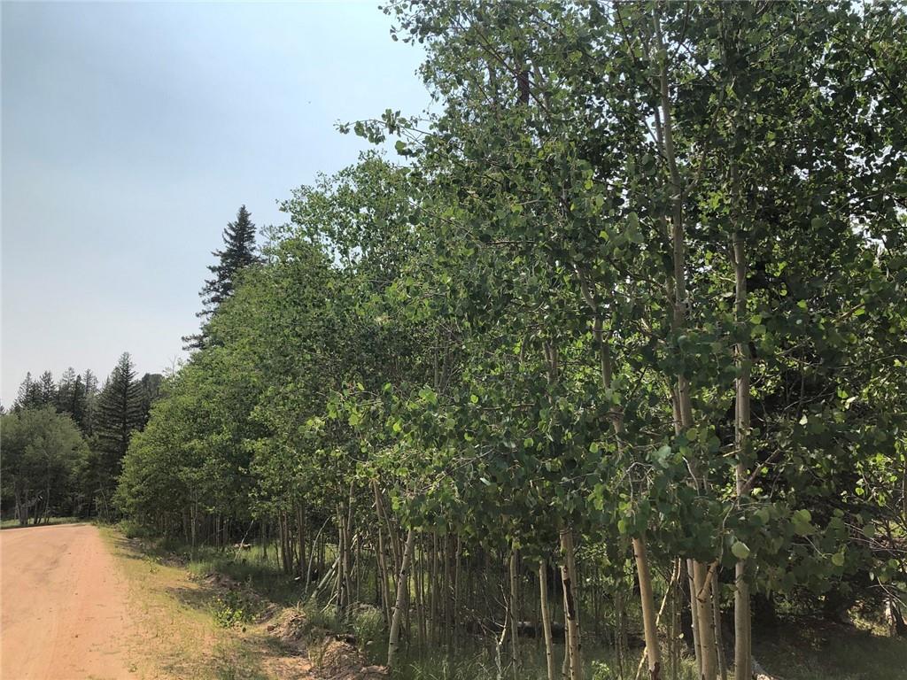 6661 Remington Road Como, CO 80432 - Photo 5 of 15 a view of a lake with a tree