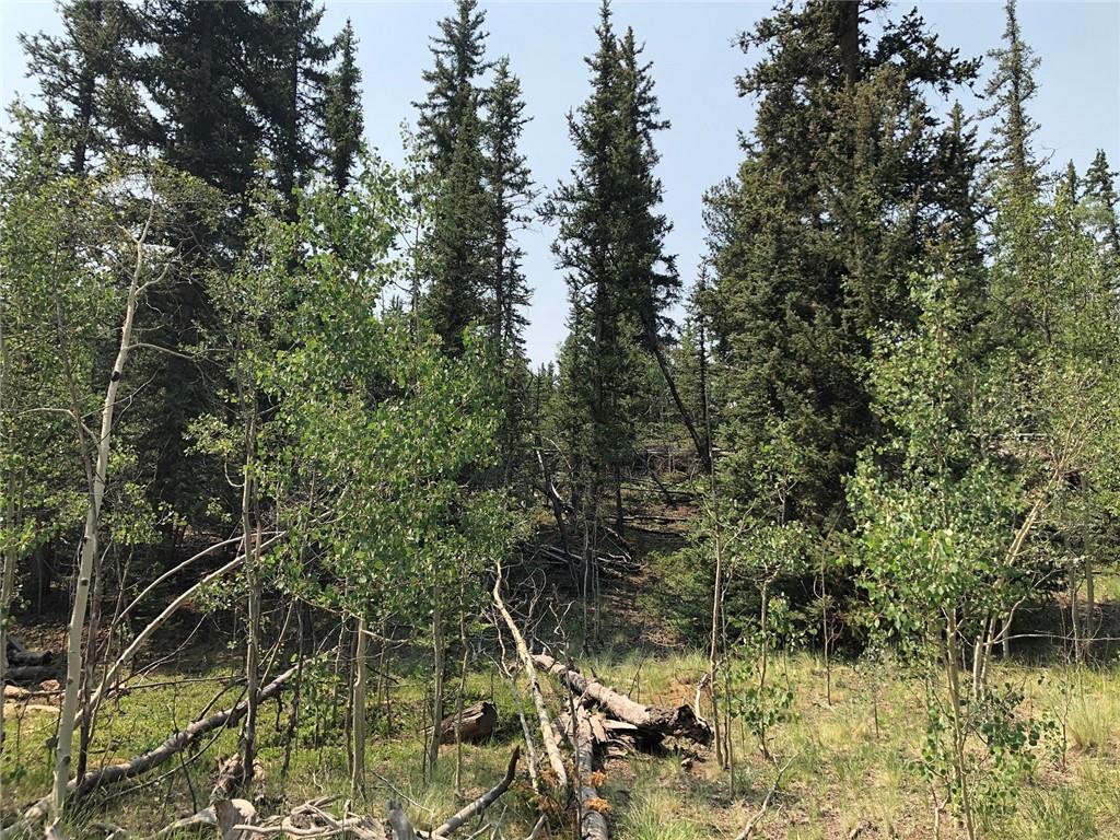 6661 Remington Road Como, CO 80432 - Photo 7 of 15 a backyard of a house with lots of green space and trees