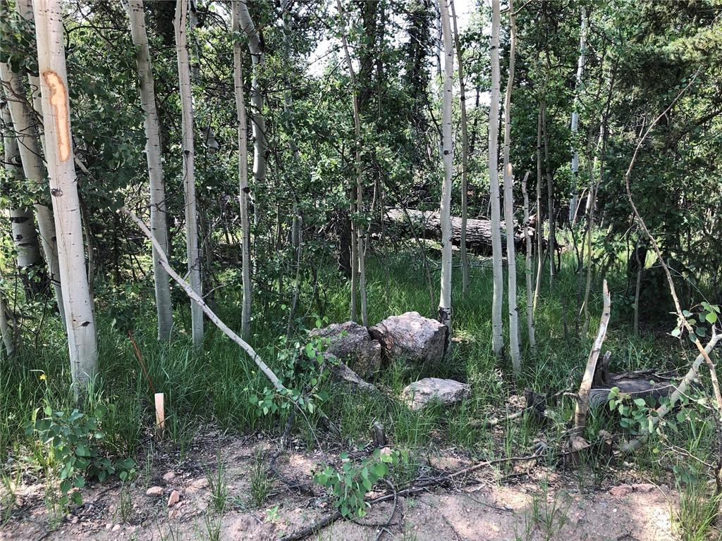 6661 Remington Road Como, CO 80432 - Photo 9 of 15 a backyard of a house with lots of green space