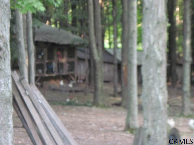 474 Willsey Road Rensselaerville, NY 12120 - Photo 8 of 12 Photo 8