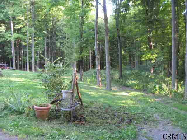 474 Willsey Road Rensselaerville, NY 12120 - Photo 10 of 12 Photo 10