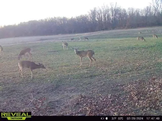 a view of a outdoor space