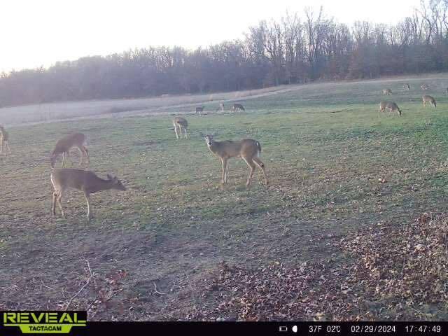 700 North North Street North Rensselaer, IN 47978 - Photo 11 of 13 a view of a outdoor space