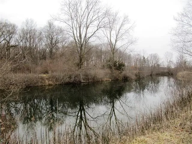 a view of lake with a covered with snow