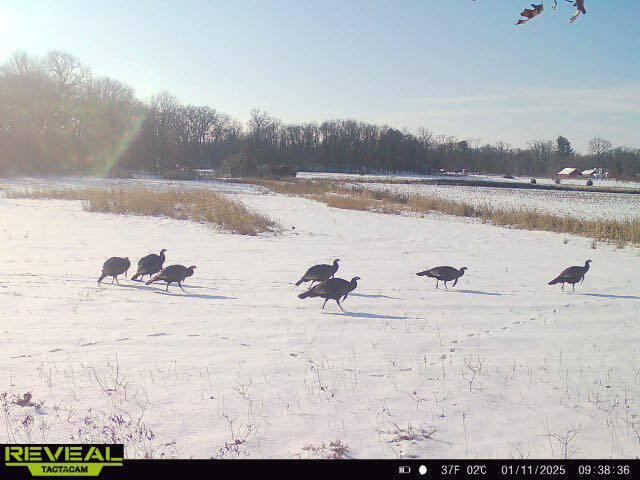 700 North North Street North Rensselaer, IN 47978 - Photo 5 of 13 a view of a lake with beach