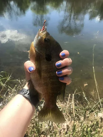 a bathroom with a sink