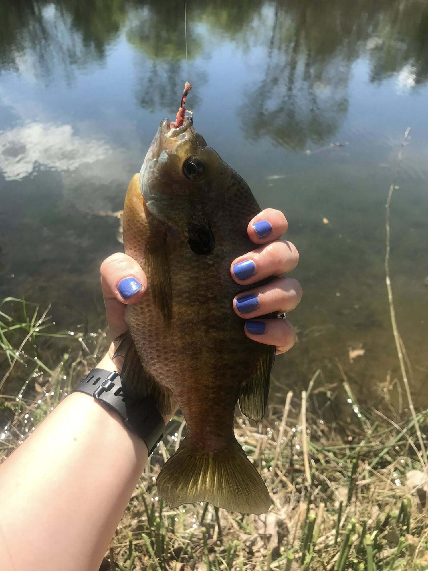 700 North North Street North Rensselaer, IN 47978 - Photo 6 of 13 a bathroom with a sink