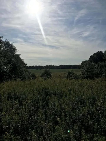 a view of a lake with top of green space